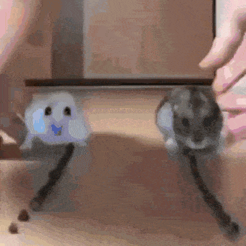 Hanterrace GIF